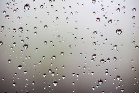 Water drops on the green and brown background,の写真素材