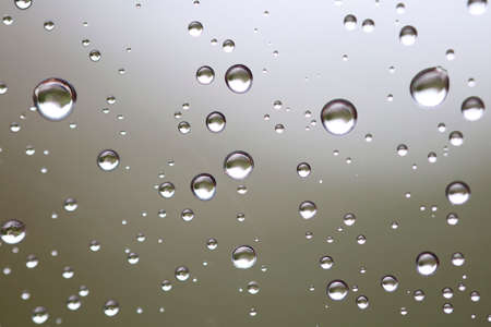 Water drops on the green and brown background,の写真素材