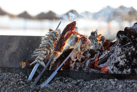 fish assorted in skewers, logs and fire, with beach and umbrellas in the backgroundの写真素材