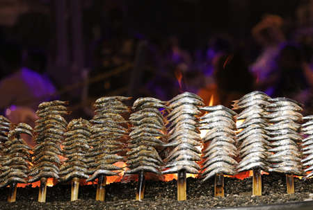 sardines to the fire on the beachの写真素材
