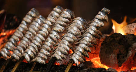 sardines to the fire on the beachの写真素材