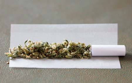 marijuana buds on cigarette paper with white filterの写真素材