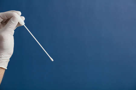pharynx swab in doctor or nurse hands with blue backgroundの写真素材
