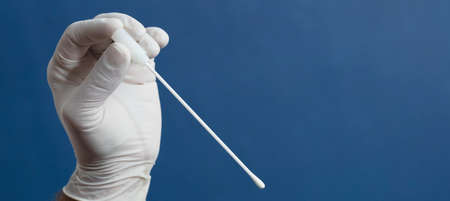pharynx swab in doctor or nurse hands with blue backgroundの写真素材