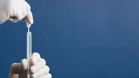mouth swab in the hands of a doctor or nurse wearing white surgical gloves, inserted into a transporter vial, with a blue backgroundの写真素材