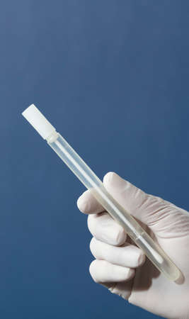 buccal swab with transport medium in the hands of a doctor or nurse with white surgical gloves, blue backgroundの写真素材