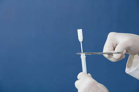 doctor or nurse with scissors and surgical gloves cuts swab, introduces into transparent vial, blue backgroundの写真素材
