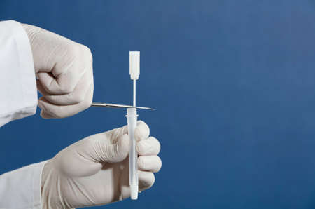 doctor or nurse with scissors and surgical gloves cuts swab, introduces into transparent vial, blue backgroundの写真素材