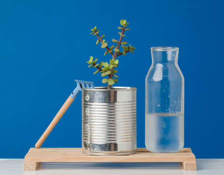 Recycled aluminum can with plant, on wooden boards with planting rake, and water bottle for irrigation, blue background.の写真素材
