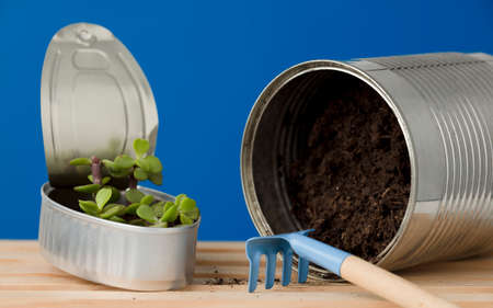 Reused tin cans containing growing plants with Recycle, Reuse, Zero Waste at Home, save money, recycle and grow your own foodの写真素材