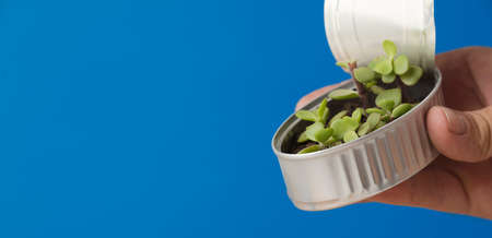 Recycled canned plant, in man's hand, blue backgroundの写真素材