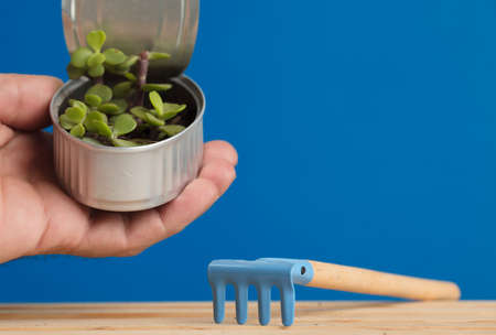 recycled can with plant held in hand dirt rake on woods blue backgroundの写真素材