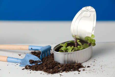 recycled can with plant dirt rake blue backgroundの写真素材