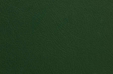 Green fabric texture background. Vector illustration for your fresh natural design. Book cover.の写真素材