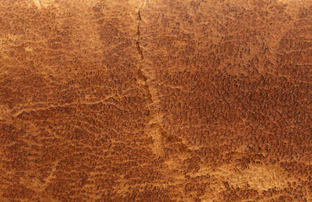 old book texture background, brown colorの写真素材