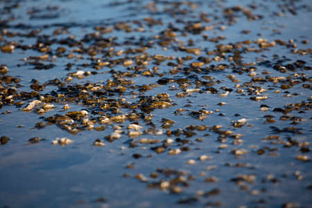 stone soil unclean with waterの写真素材