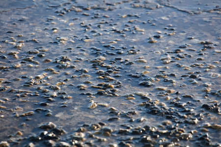 stone soil unclean with waterの写真素材