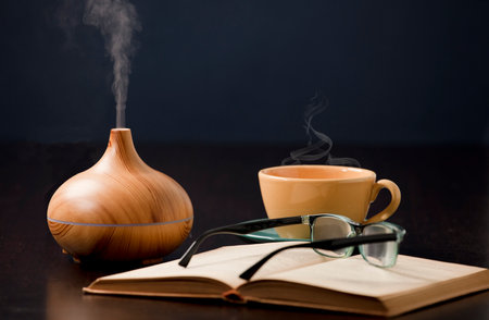 air, apartment, aroma, aromatherapist, aromatherapy, aromatic, atmosphere, automatic, brown, comfort, contemporary, deodorizer, diffuser, diffusing, diffusor, domestic, electric, electronic, equipmentの写真素材
