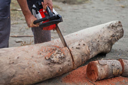 man with chainsaw cutting logの写真素材