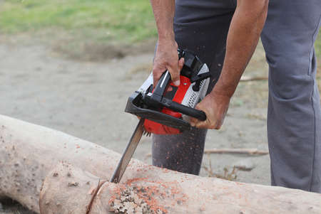 man with chainsaw cutting logの写真素材