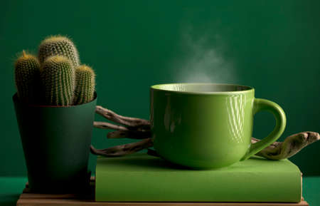 Cup of green tea or coffee, hot with steam, cactus and old wood log, green background.の写真素材