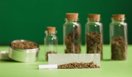 chopped marijuana, on cigarette paper with a filter and airtight glass jars with different types of cannabis on wood, with grinder process for the production of marijuana cigars. green background.の写真素材