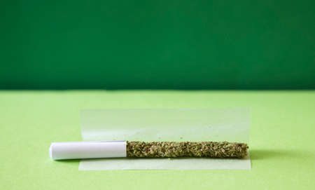 marijuana in rolling cigarette, mouthpiece, paper, green background.の写真素材