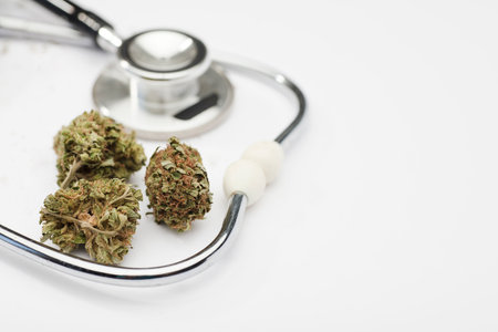 marijuana buds and phonendoscope on a white background, space for text.の写真素材