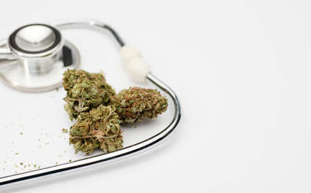 marijuana buds and phonendoscope on a white background, space for text.の写真素材