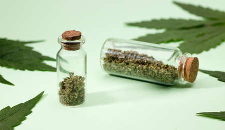 ground marijuana in glass bottles with cork stopper and green leaves, green background.の写真素材