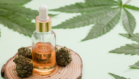 Glass dispenser bottle with extract marijuana oil, with green cannabis buds and leaves. green backgroundの写真素材