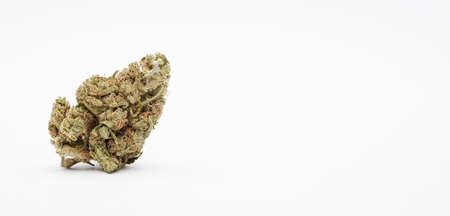 marijuana buds with space for text, white backgroundの写真素材