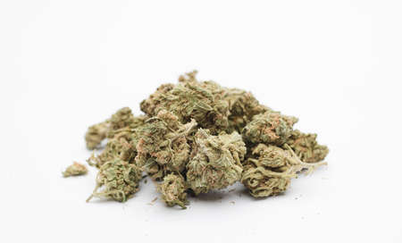 Set of marijuana buds, white background.の写真素材