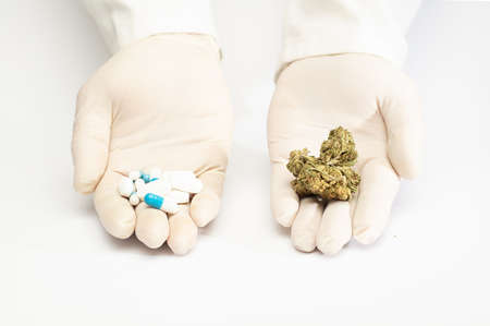 hands of a doctor with pharmaceutical industry pills, and marijuana in buds, choice of natural medicine, choice of pharmacological medicine, white backgroundの写真素材