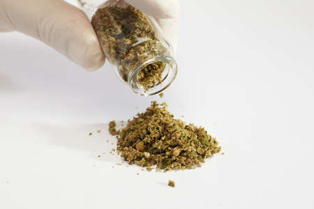 pile of marijuana, gloved hands and glass pot, white backgroundの写真素材