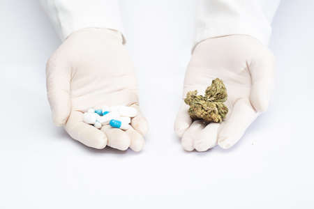 hands of a doctor with pharmaceutical industry pills, and marijuana in buds, choice of natural medicine, choice of pharmacological medicine, white backgroundの写真素材