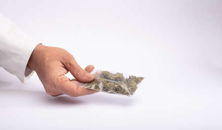Hemp and drugs bag of marijuana in hands, delivery gesture, white background.The concept of selling marijuana, hemp and drugsの写真素材