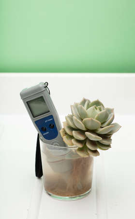 plant with roots in glass container, and bottle of water, neutral pH analyzer, white and green backgroundの写真素材