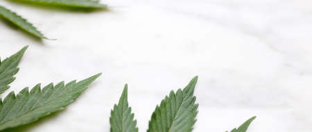 marijuana with marble background space for textの写真素材