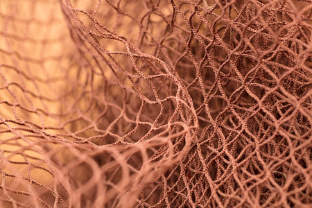 Brown fishing net, on soft brown backgroundの写真素材