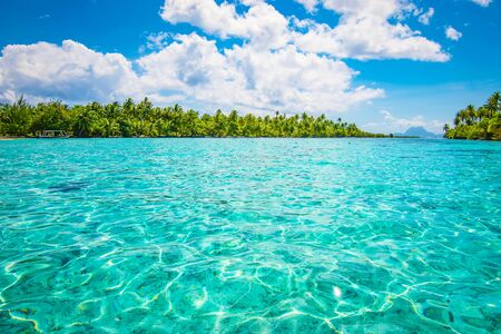 Tahaa Island. Tropical seascape paradise with palm trees.の写真素材