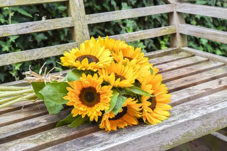 Sunflower bouquet on wooden garden bench.の写真素材
