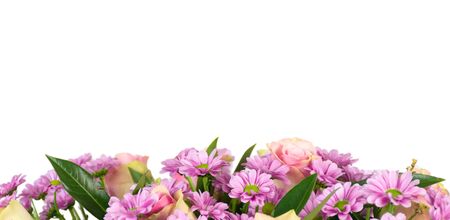 Border of pink and mauve flowers isolated on white background.の写真素材