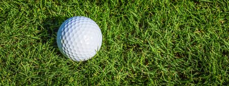 Golf ball on green grass.