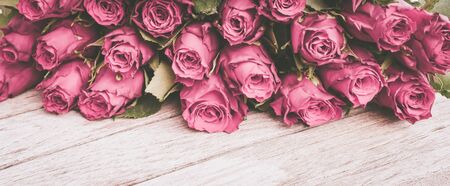 Pink roses border on wood. Vintage style.の写真素材