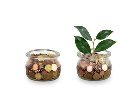 Stage of growing money coins in glass jar isolated on white.の写真素材