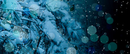 Close-up of snowy pine branch with blurred lights design.の写真素材