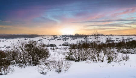 Winter meadow landscape with snow and beautiful sky. Ardennes, Belgium.の写真素材