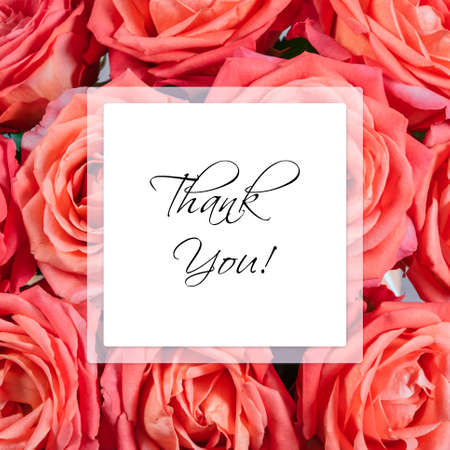 Roses background with Thank You lettering.の写真素材