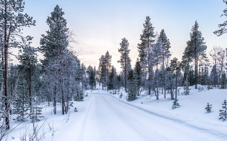 Winter landscape with snowy road between the trees. Finland, Scandinavia.の写真素材